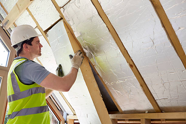Best DIY Insulation Kits and Guidance in Ckam Housing, HI