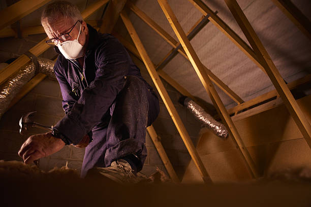  Ckam Housing, HI Insulation Contractor Pros