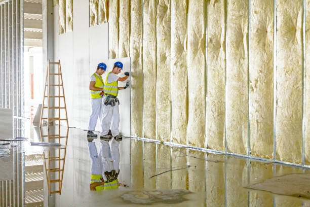 Professional Insulation Contractor in Hickam Housing, HI